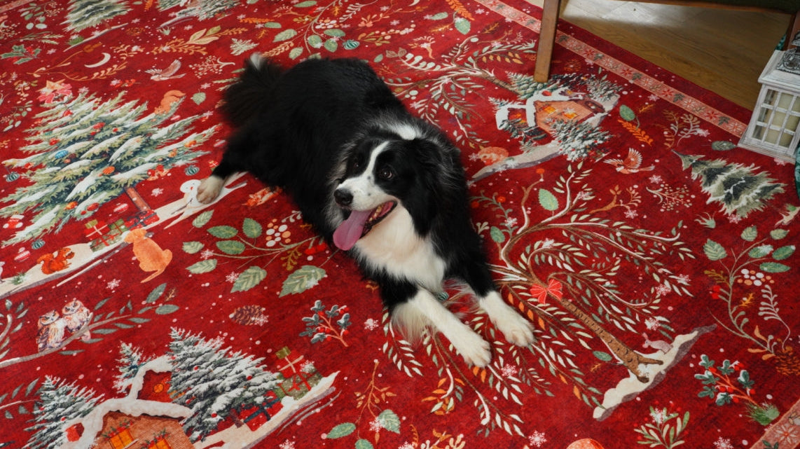 Love, Comfort, and Paws — How Lahome Rugs Make Life with Pets Beautifully Easy