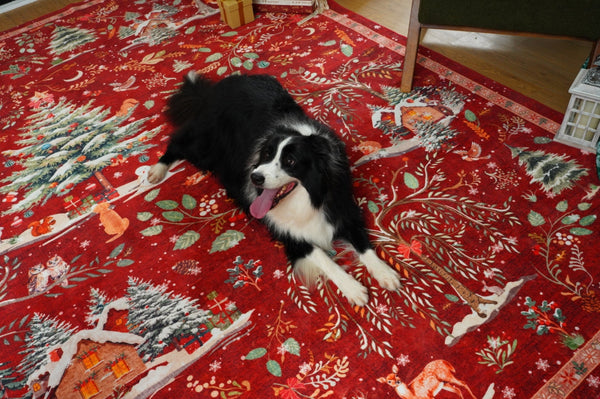 Love, Comfort, and Paws — How Lahome Rugs Make Life with Pets Beautifully Easy