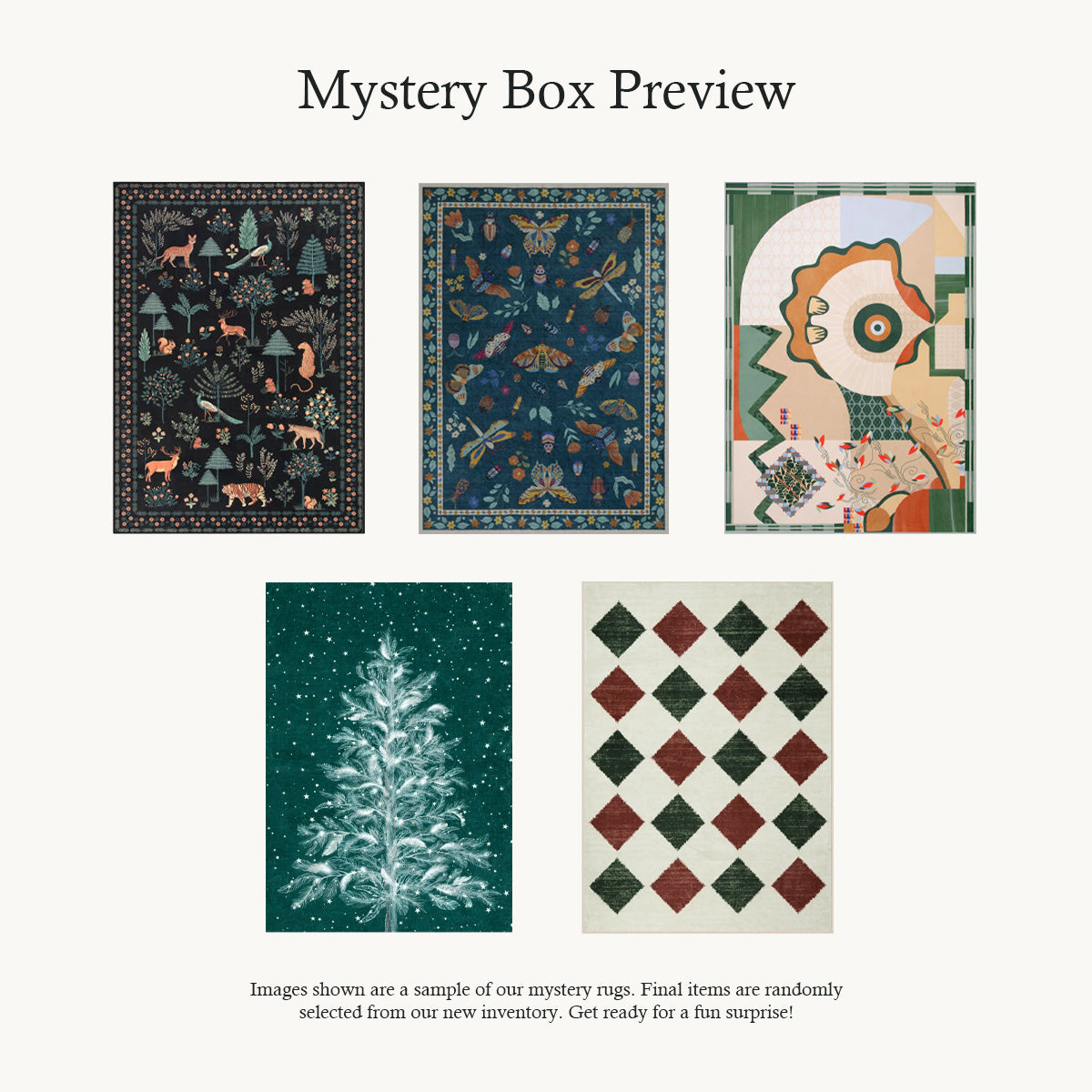 Mystery Washable Rug Box - Starting at $9.99 Rugs Lahome