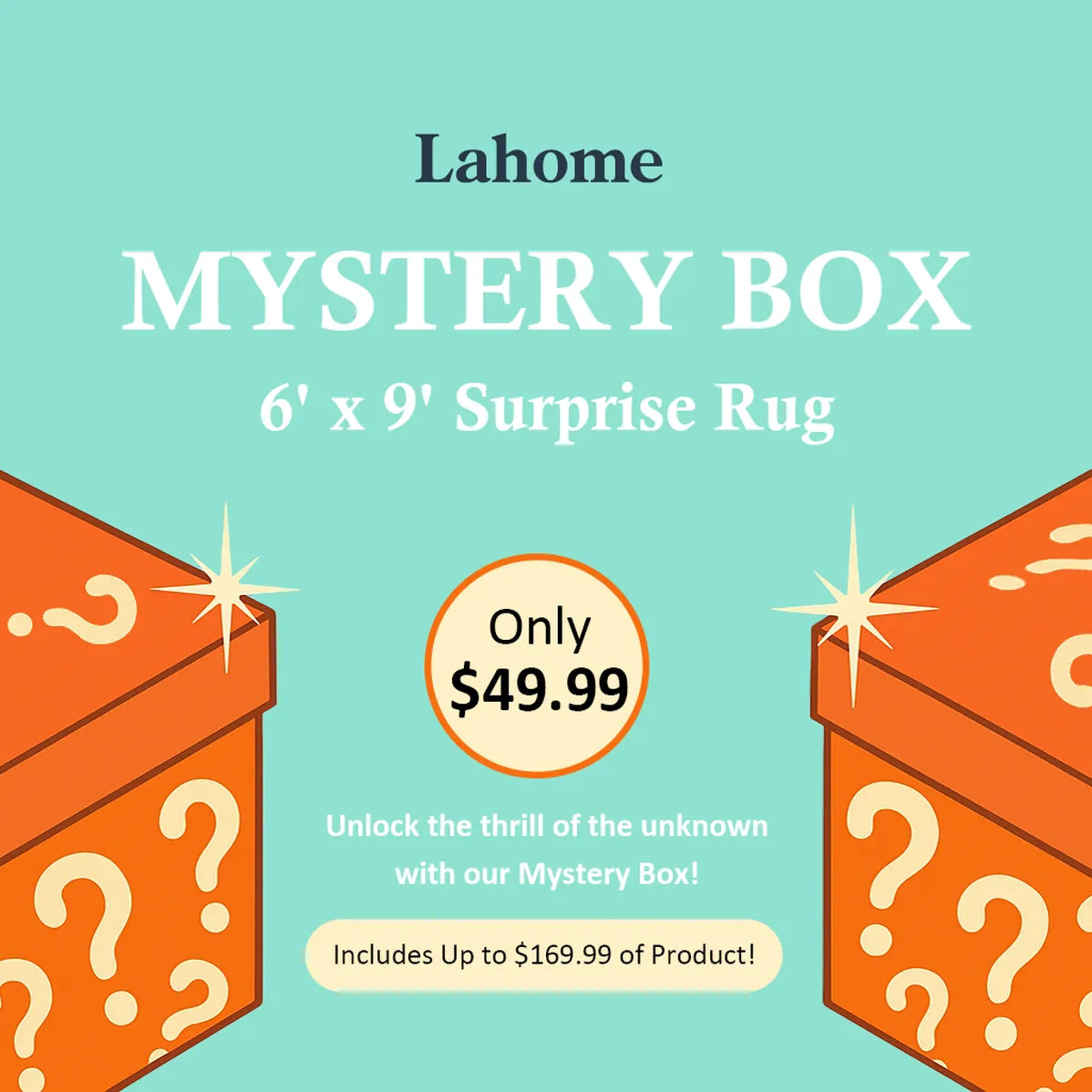 Mystery Washable Rug Box – Starting at $9.99 Clearance Rugs Lahome 6' x 9' - #1