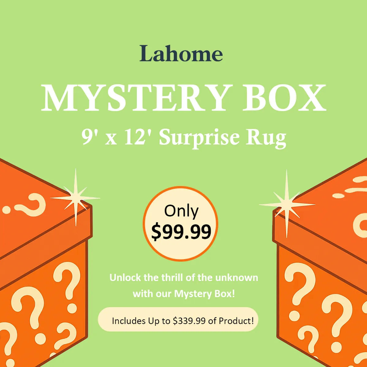 Mystery Washable Rug Box – Starting at $9.99 Clearance Rugs Lahome 9' x 12' - #1