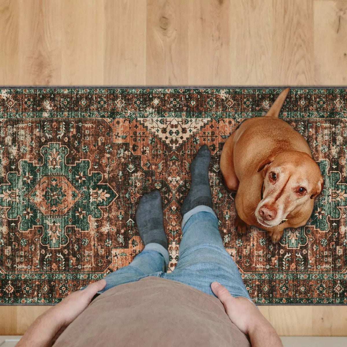 Ultra-Thin Washable Persian Vintage Floral Area Rug
