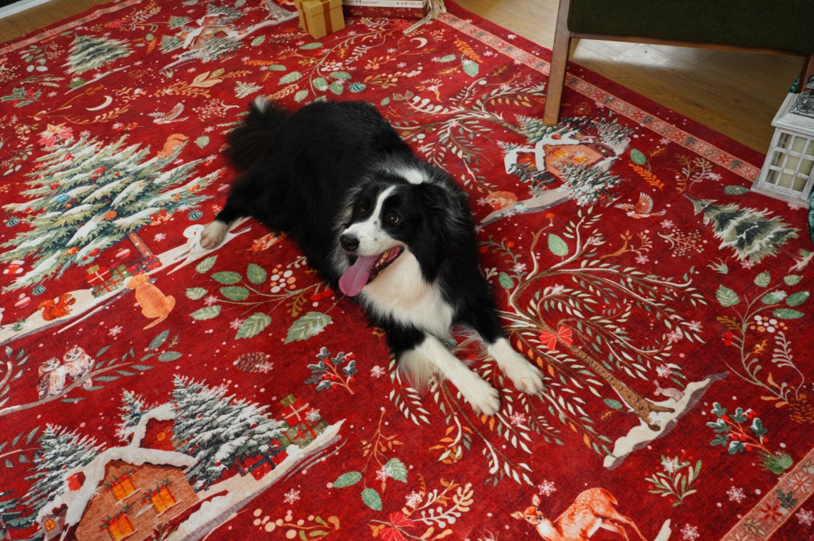 Love, Comfort, and Paws — How Lahome Rugs Make Life with Pets Beautifully Easy