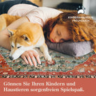 Felice Boho Tribal Rostrot Waschbarer Teppich Area Rugs Lahome