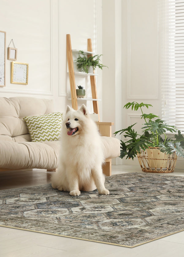 Washable & Quality Comfort Area Rugs | Lahome