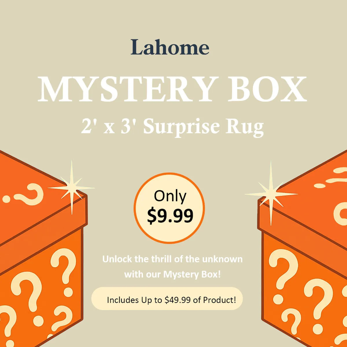 Mystery Washable Rug Box - Starting at $9.99 Rugs Lahome 2' x 3' - #1