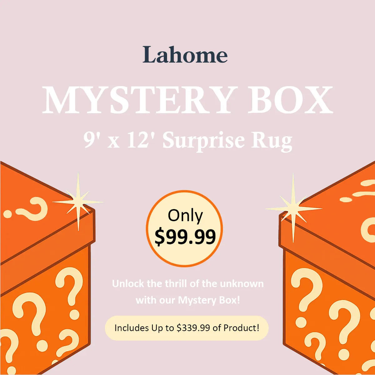 Mystery Washable Rug Box - Starting at $9.99 Rugs Lahome 9' x 12' - #1