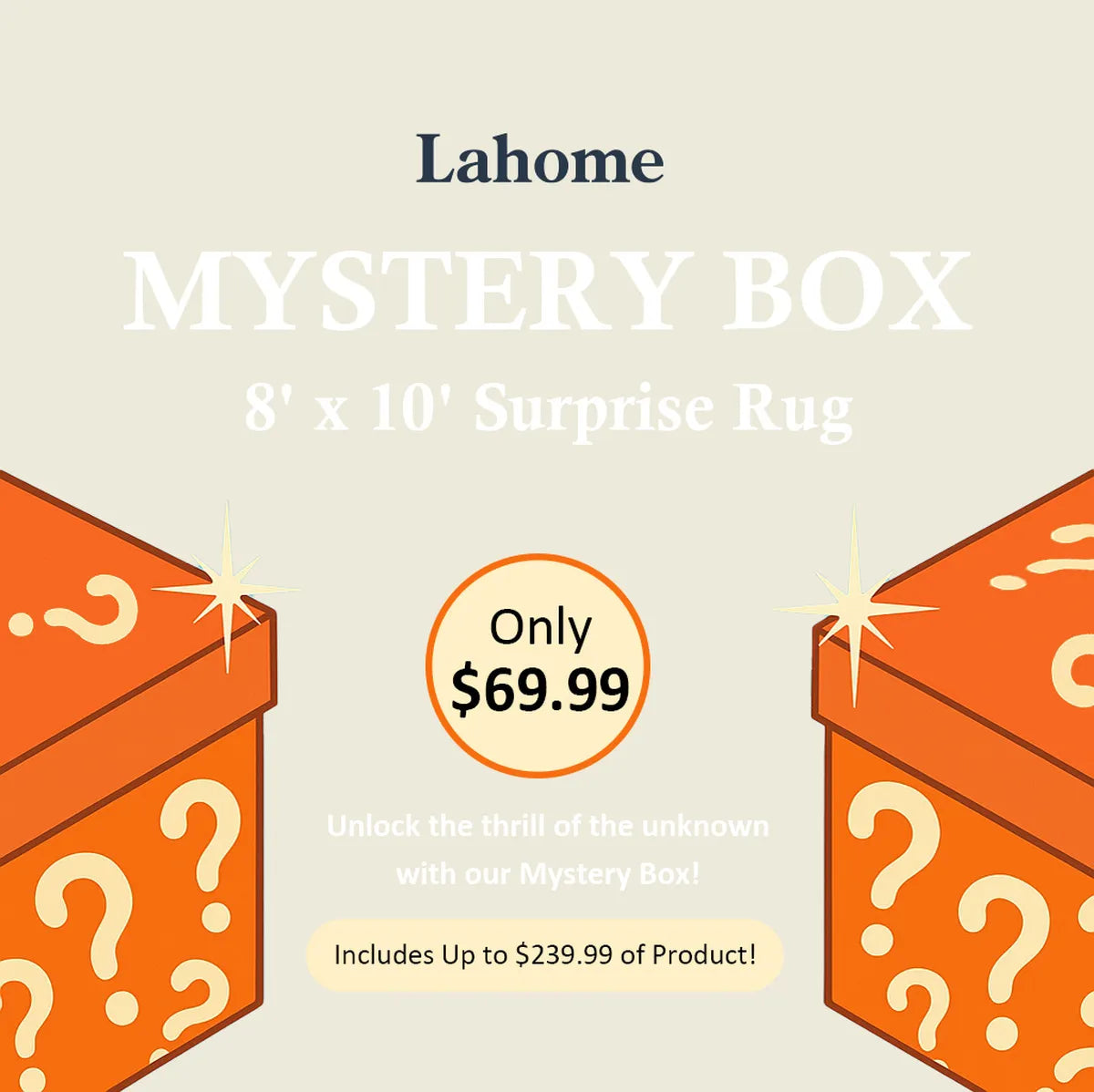 Mystery Washable Rug Box - Starting at $9.99 Rugs Lahome 8' x 10' - #1