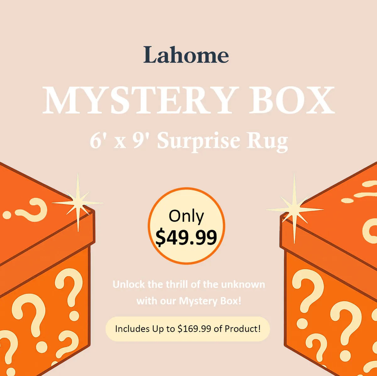 Mystery Washable Rug Box - Starting at $9.99 Rugs Lahome 6' x 9' - #1