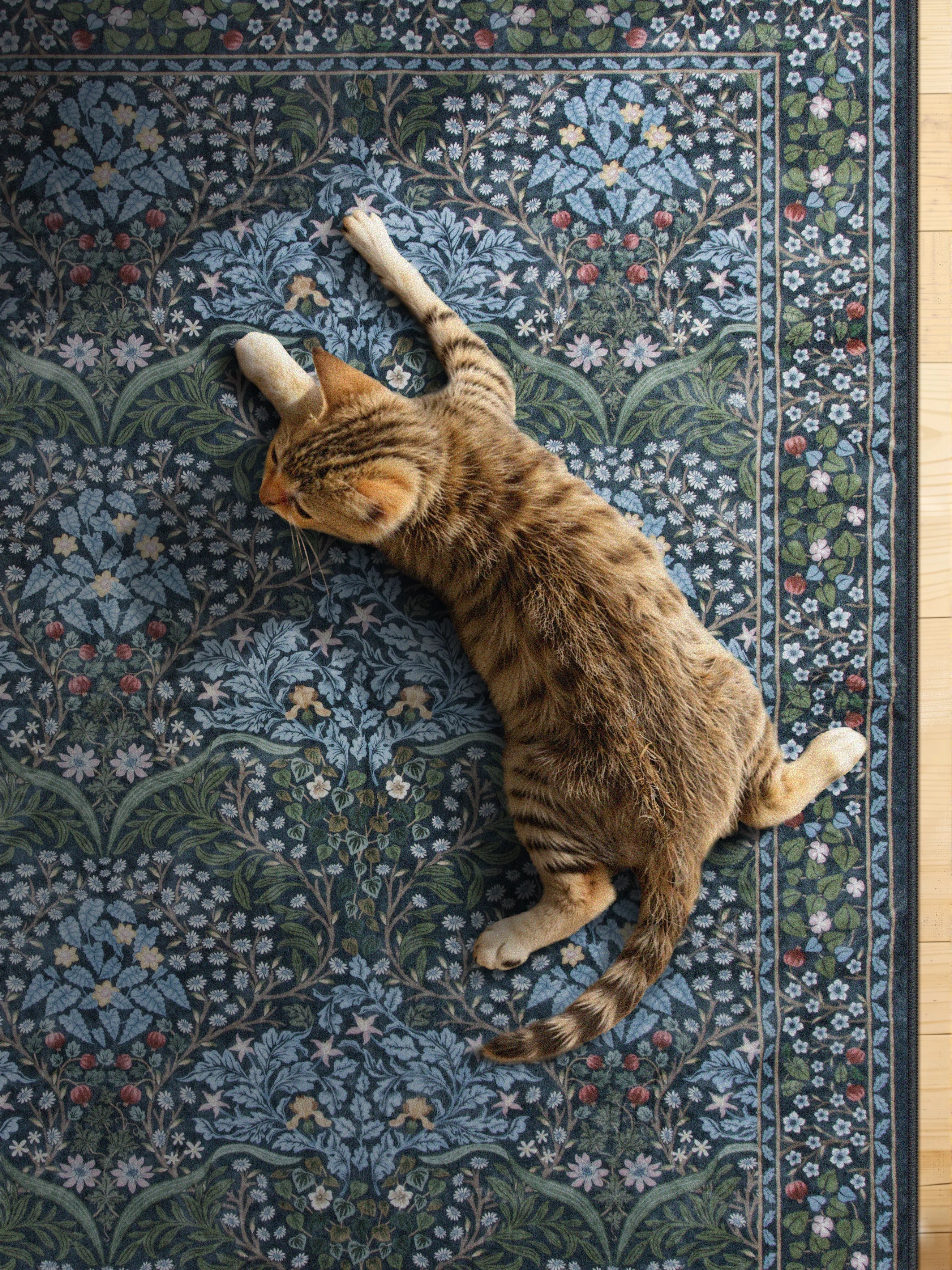 Cat lying on a patterned rug