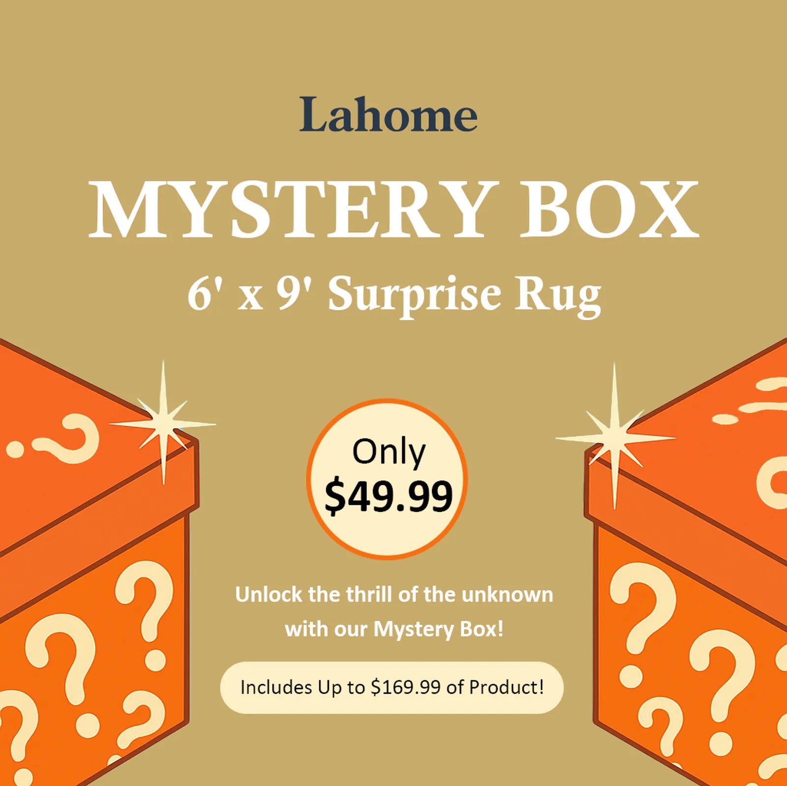 Mystery Washable Rug Box - Starting at $9.99 Rugs Lahome 6' x 9' - #1