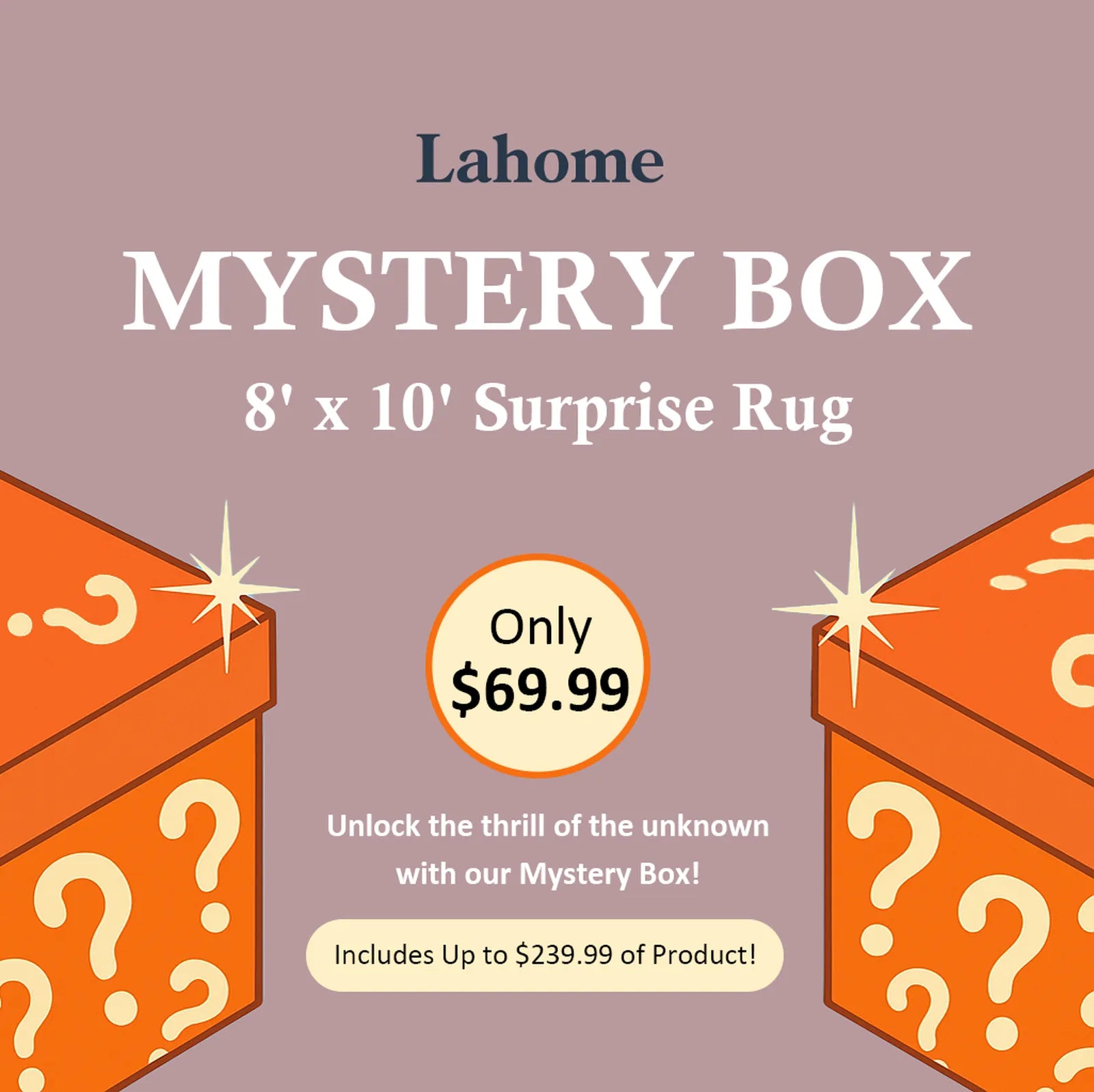 Mystery Washable Rug Box - Starting at $9.99 Rugs Lahome 8' x 10' - #1