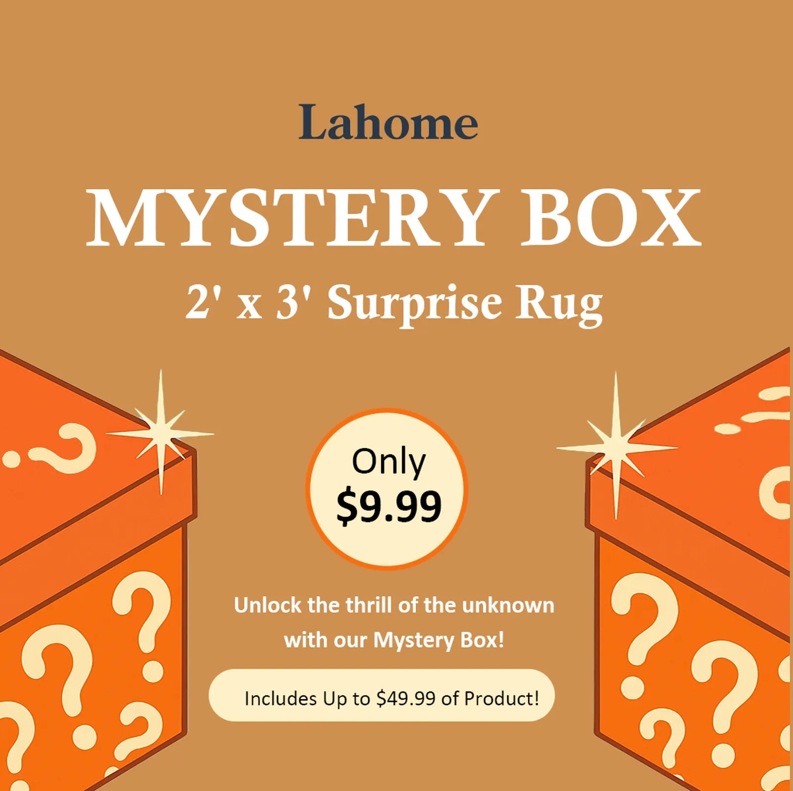 Mystery Washable Rug Box - Starting at $9.99 Rugs Lahome 2' x 3' - #1