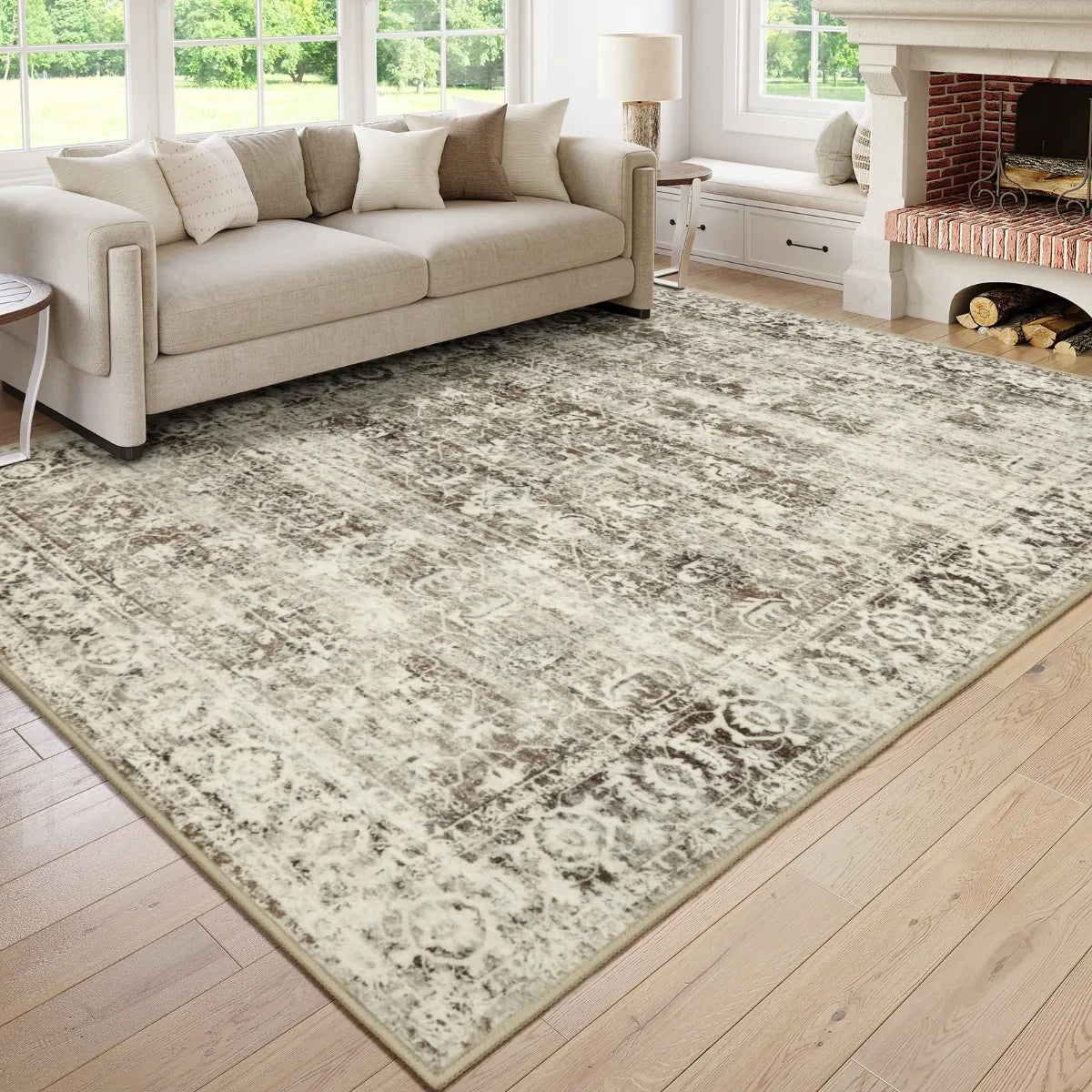 Margot Vintage Distressed Beige Area Rug