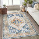 Transitional Vintage Distressed Rug